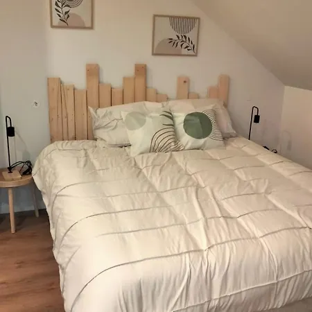 Du Massif Du Sancy Chalé